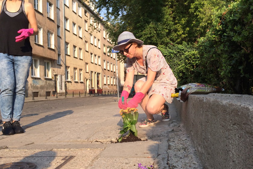 Sadzili kwiatki w chodnikowych dziurach