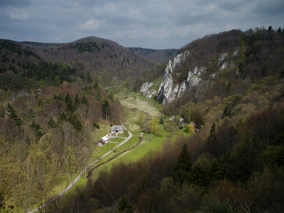 Dolina Prądnika, Polska