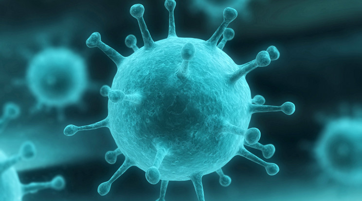 A mutáns vírus a szakemberek szerint járványt okozhat