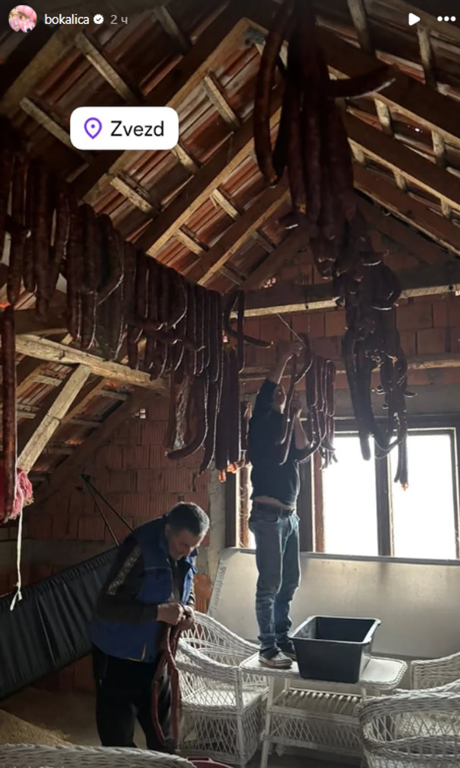 Bojana Ristivojević