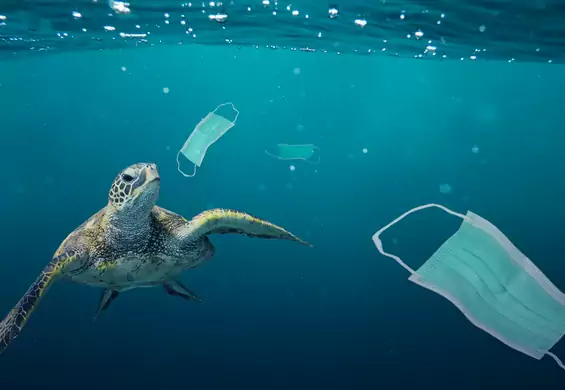 Maski i rękawiczki zaśmiecają oceany. 87 proc. plastikowych odpadów pochodzi ze szpitali