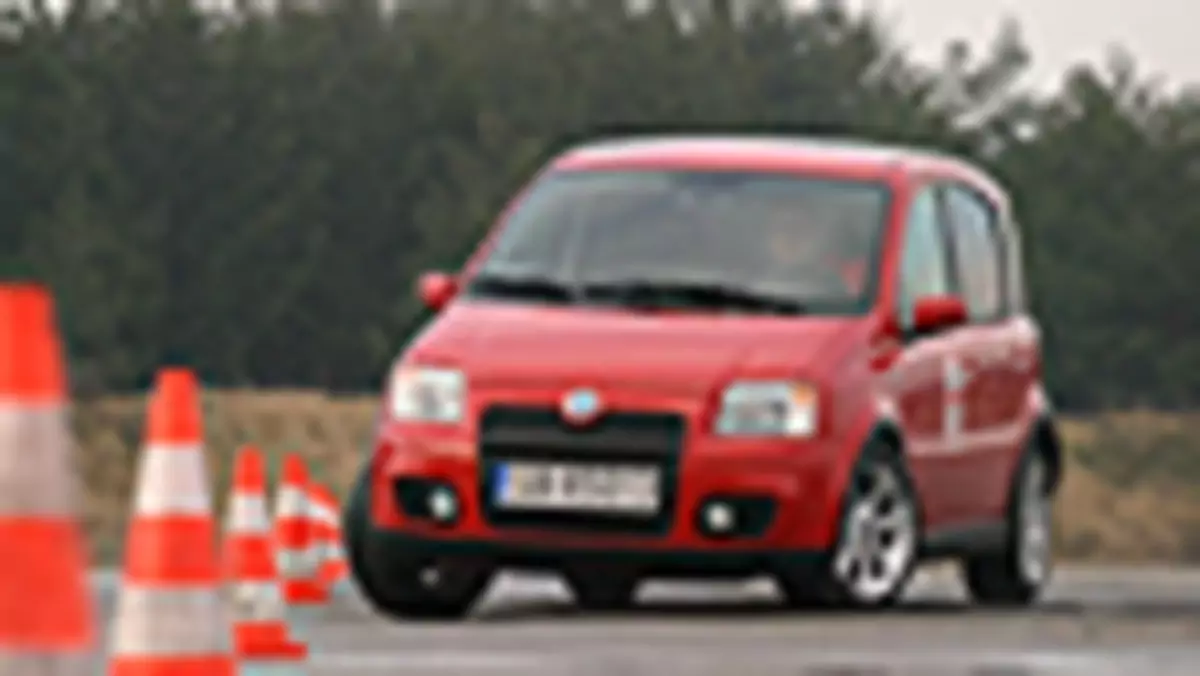 Fiat Panda 100 HP - Miś gotowy do sprintu