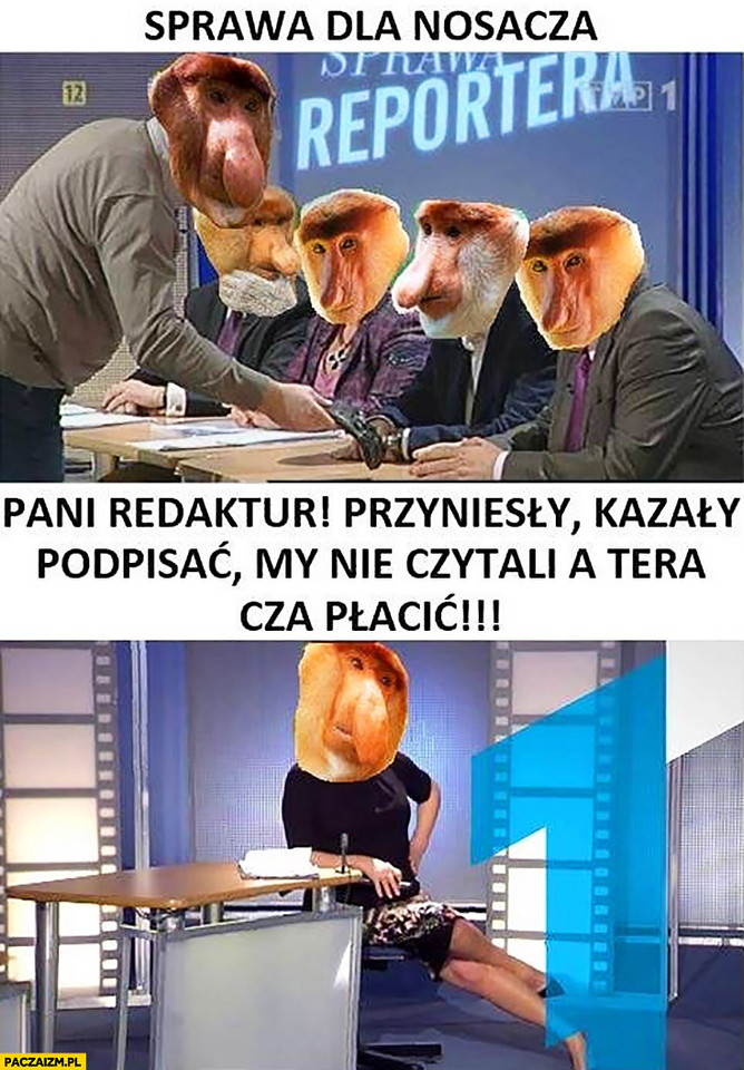 Mem o "Sprawie dla reportera"