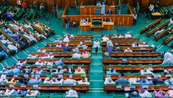 House of Reps move to address multiples taxation
