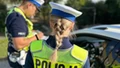 Koniec metody "na Ukraińca". Ostrzejsze prawo zaskoczy kierowców