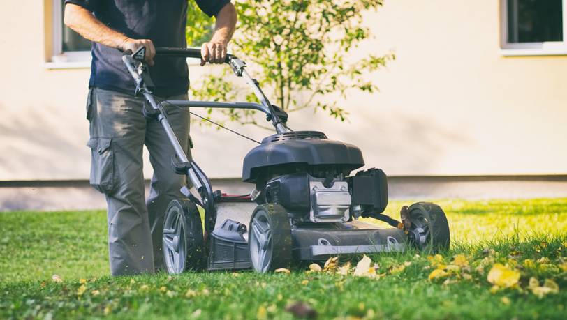 Die besten Rasenmäher mit Benzinbetrieb: Saftiges Grün im Handumdrehen