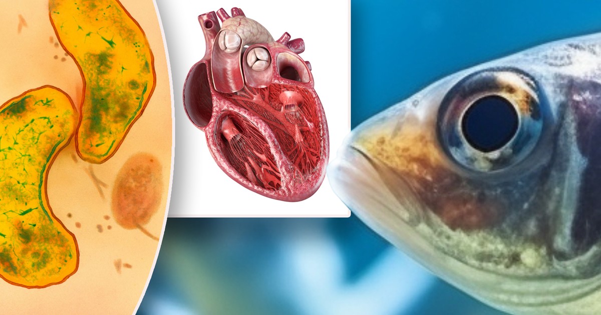 Czy jesteś mądrzejszy od przeciętnego ucznia? W tym quizie większość dorosłych wykłada się na ósmym pytaniu