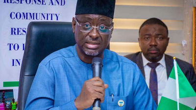 Mustapha Ahmed, Director General of NEMA. [NAN]