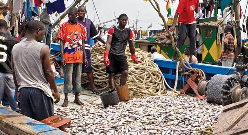 ___4587239___https:______static.pulse.com.gh___webservice___escenic___binary___4587239___2016___1___21___11___Takoradi-fishermen