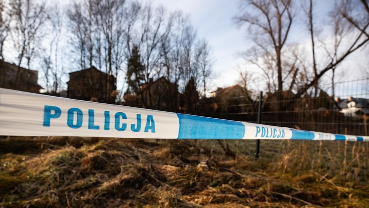 Zabójstwo 11-letniej Danusi w Jeleniej Górze. Dane 12-latki krążą w sieci, prawnicy ostrzegają