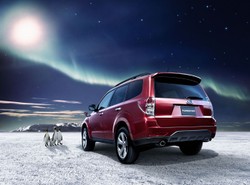 Nowe subaru i cztery pingwiny