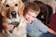 Autism Assistance Service Dog Transforms Boy’s School Experience