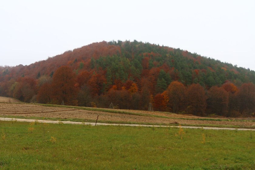 Poszukiwacze skarbów rozkopali górę