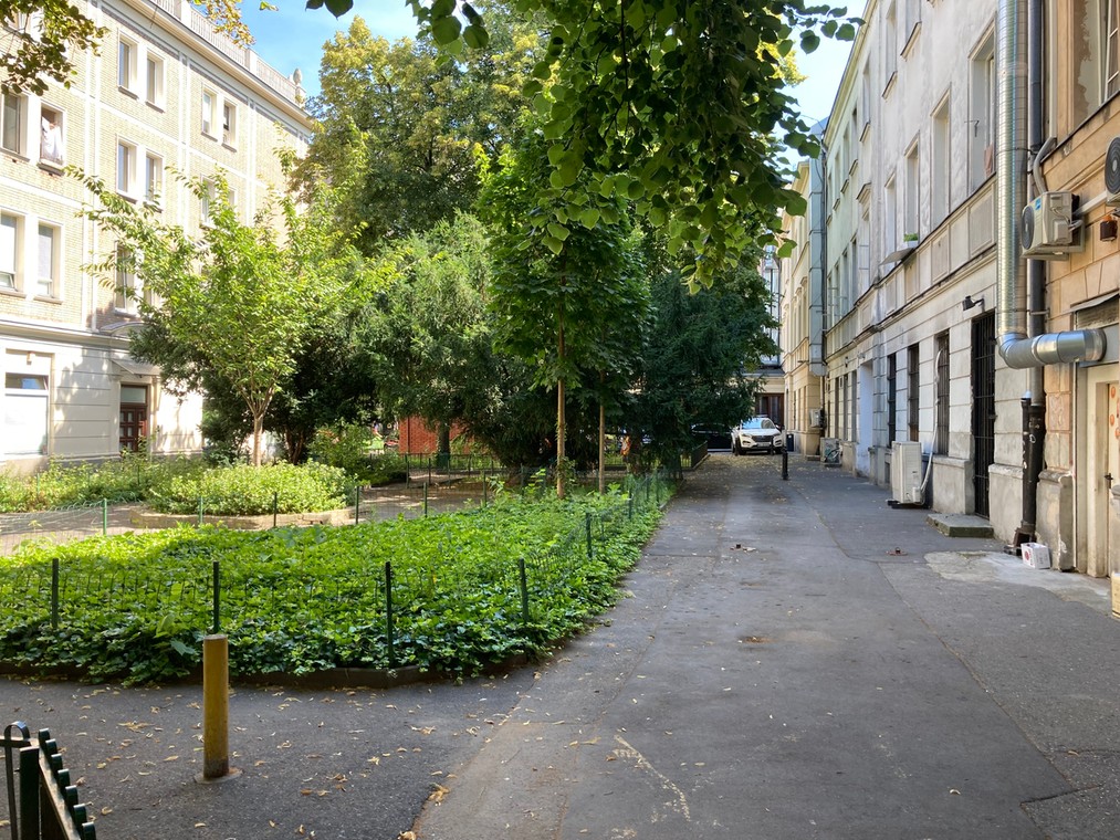 Tak dziś wygląda podwórko nieistniejącego już butiku Ultimo