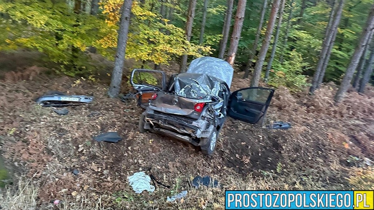 Dwóch nastolatków zginęło w wypadku w Zagwiździu, 18-latek z zarzutami