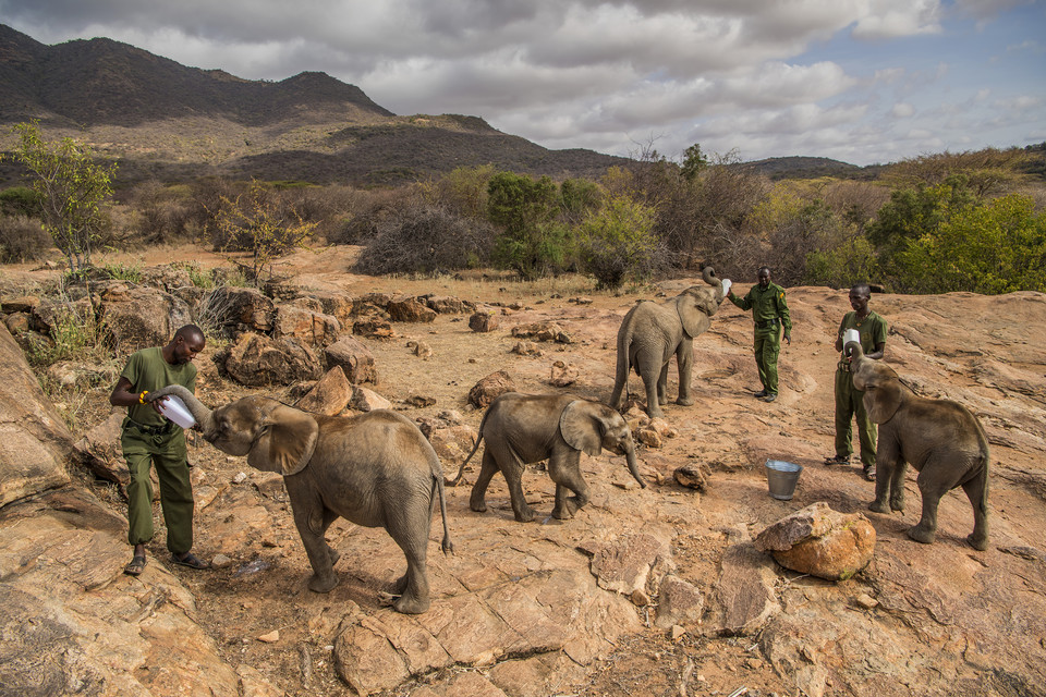 Ami Vitale, "Warriors Who Once Feared Elephants"