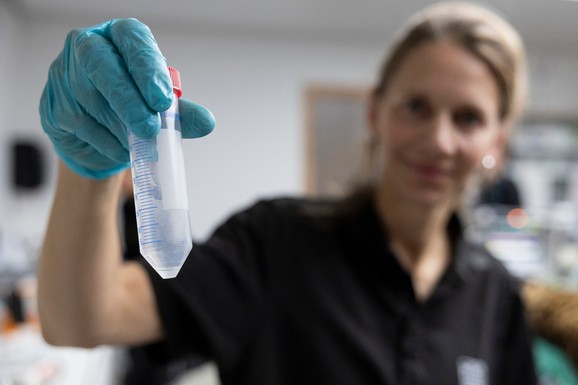 SKANDAL U EVROPI Začeto 200 dece spermom donora s mutacijom koja IZAZIVA RAK: Neka su već umrla