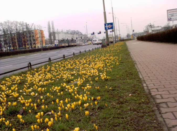 Wiosna już przyszła