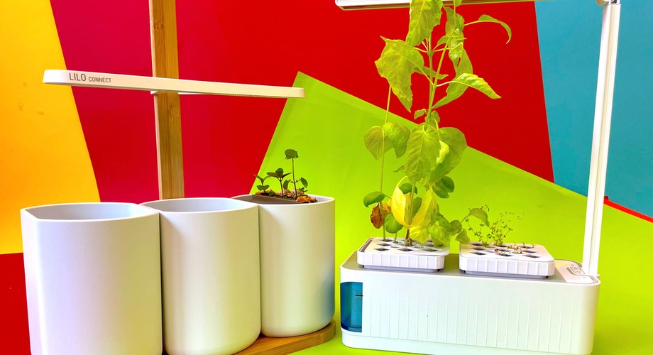 Top 5: Die besten smarten Indoor-Gärten ab 40 Euro | TechStage