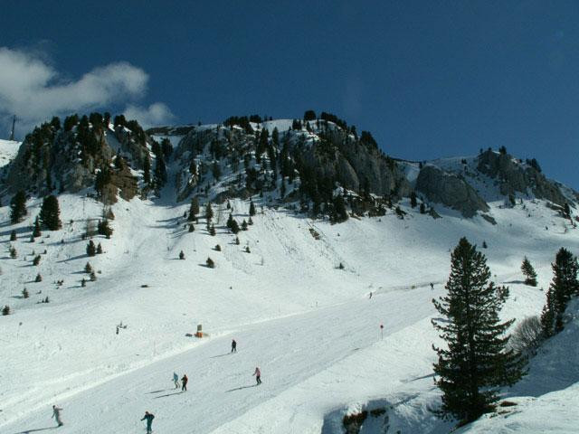 Galeria Włochy - Val di Fiemme - Bellamonte, obrazek 1