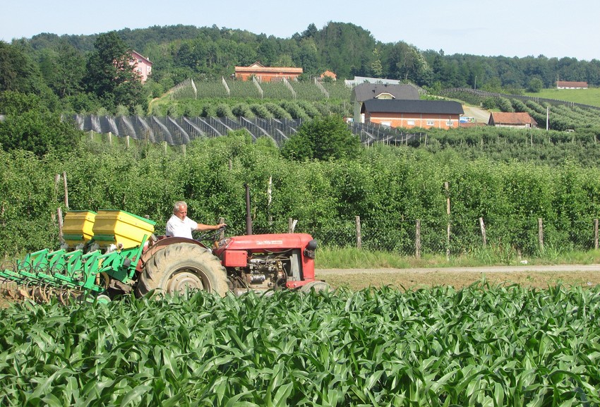 Sve povoljniji uslovi oživeli su poljoprivredu