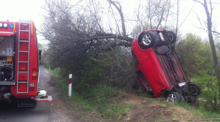 Így állt a fának csapódott kocsi/Fotó: Vác Online