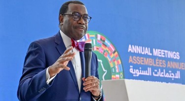 Nigeria losing $29bn annually due to lack of electricity - Adesina