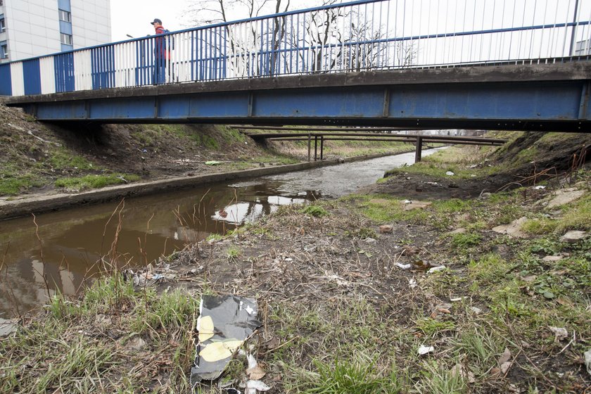 Katowice. Oczyszczanie Rawy