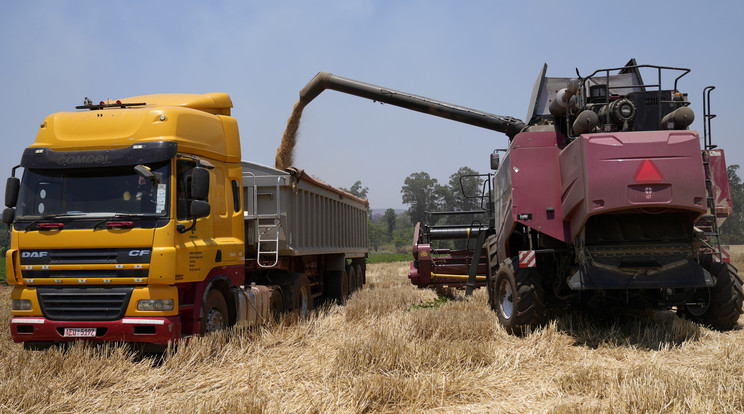 Az oroszok megkapták a szükséges megállapodásokat, hogy visszatérjenek a gabonaecport-megállapodásba / Fotó: MTI/AP/Tsvangirayi Mukwazhi