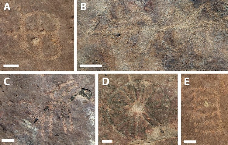 Petroglify odkryte obok śladów dinozaurów, fot. Troiano et al., Scientific Reports, 2024 (CC BY 4.0)