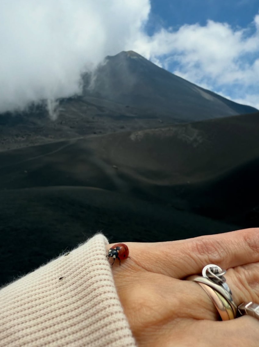 Kristina Radenković, objava