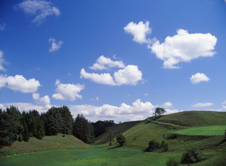 Dolina Czarnej Hańczy (rzeki)