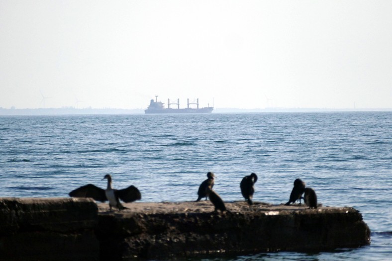 Turecki statek załadowany ukraińskimi produktami rolnymi w ramach Inicjatywy Zbożowej, opuszcza port w Odessie na południu Ukrainy, 16 lipca 2023 r.