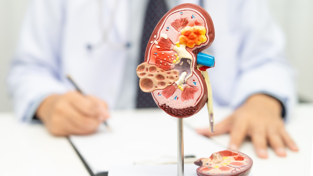 Upravo na Blic TV: Dr Zoran Kovačević objašnjava kako se otkriva bubrežna insuficijencija