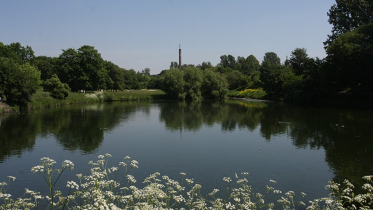 Park i miejska plaża, czy raczej to, co jest teraz, czyli ogródki działkowe? To łodzianie zdecydują, w jaki sposób zagospodarowane zostaną tereny wokół stawu nad rzeką Jasień, znajdującego się na Księżym Młynie.