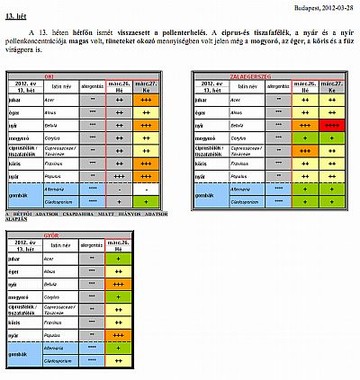 oki-pollen1-kis-d000012C5801dccd1ddcd