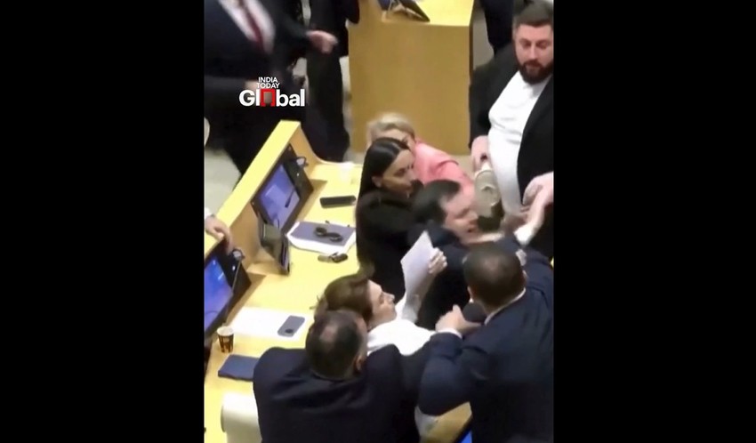 Tuča u gruzijskom parlamentu
