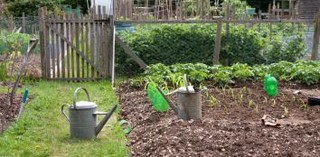 Ogródek działkowy. Jak można uzyskać prawo do działki?