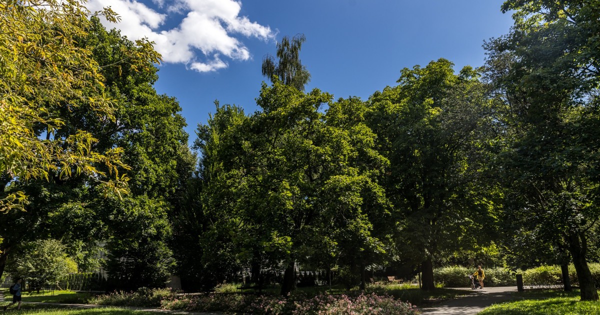 Nowy system informowania o wycinkach