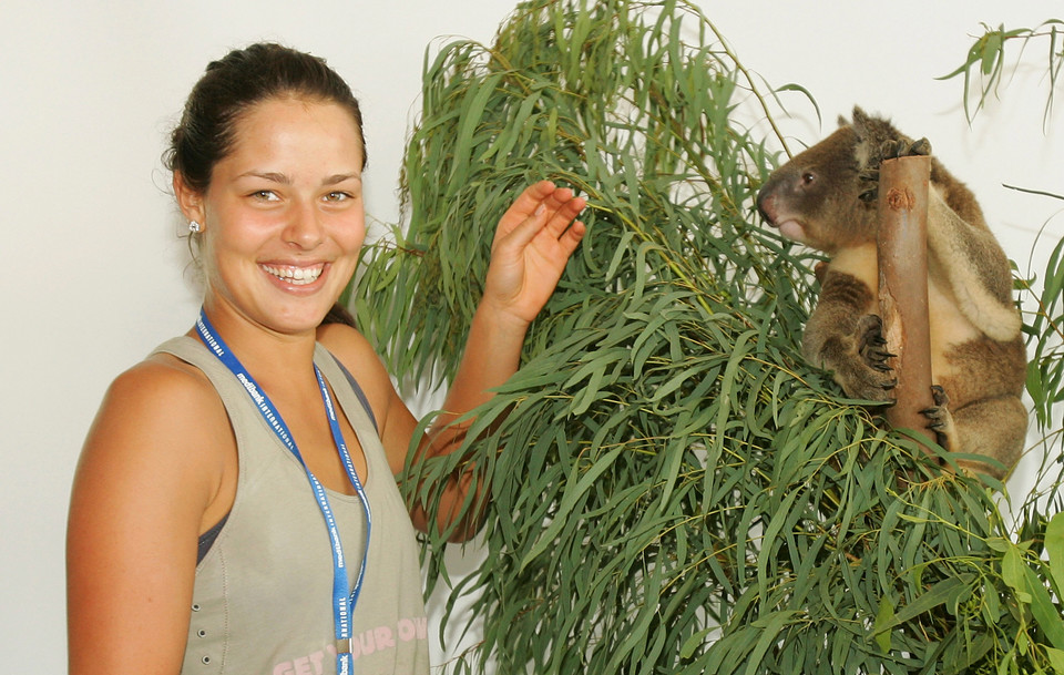 Ana Ivanović w 2008 roku