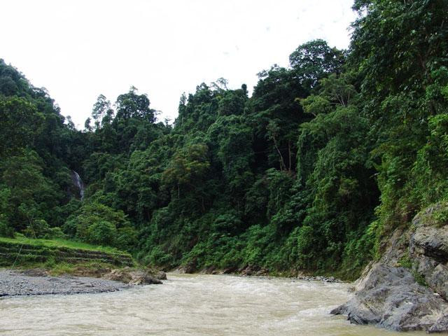 Galeria Indonezja - Orangutany z Sumatry, obrazek 12