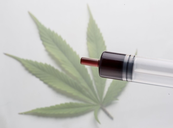 2.	Konopny olej – bez szkodliwej chemii