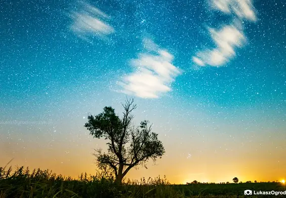 Perseidy na niebie nad Poznaniem podbijają świat