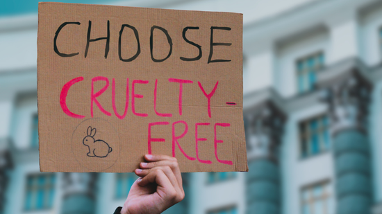 Tanulmány mutatta ki, hogy az emberek nagy részének fogalma sincs az öko címkékről és leírásokról - neked van?