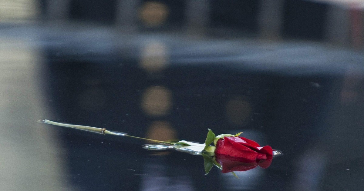 Odszkodowania dla strażaków i robotników ze Strefy Zero Wiadomości