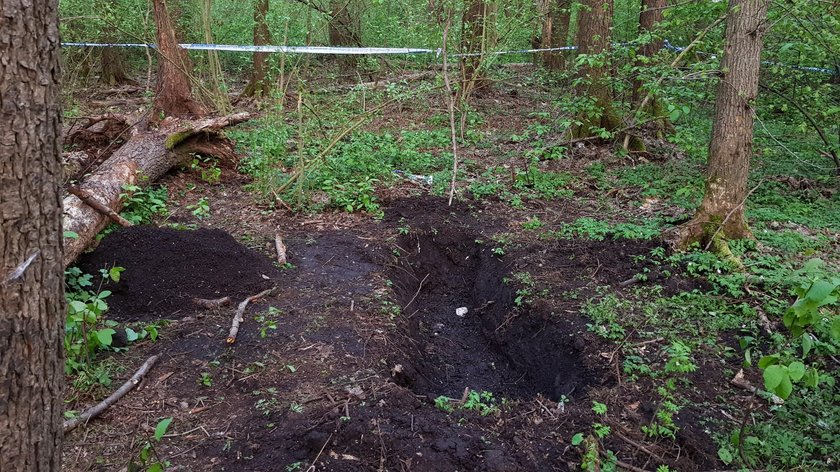 Egzekucja 16-letniej Kornelii w lesie. Wstrząsająca hipoteza po badaniu biegłych 