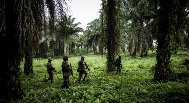 Troops from the UN's stabilisation force in the region are working with DR Congo forces against the militia at the end of October