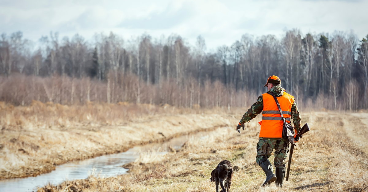 Chasse en Europe.  « L’économie de la chasse n’est qu’un prétexte pour tuer des animaux »