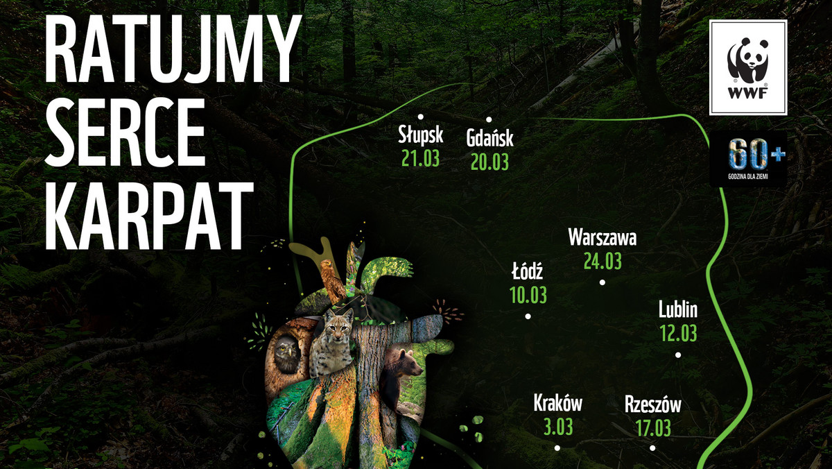 Bijemy na alarm, to ostatni moment, by uratować najcenniejsze obszary Puszczy Karpackiej - lasy o cechach naturalnych, gdzie dominują siły przyrody, a jodły, buki i jawory osiągają wiek nawet 300 lat.