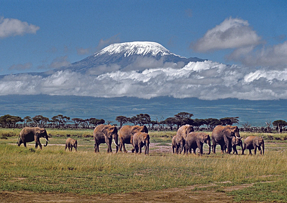 Kilimandžaro 